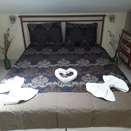 Hotel Nilsu *